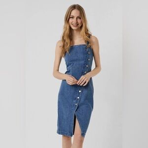 Kale Generation Denim Button-Down Dress